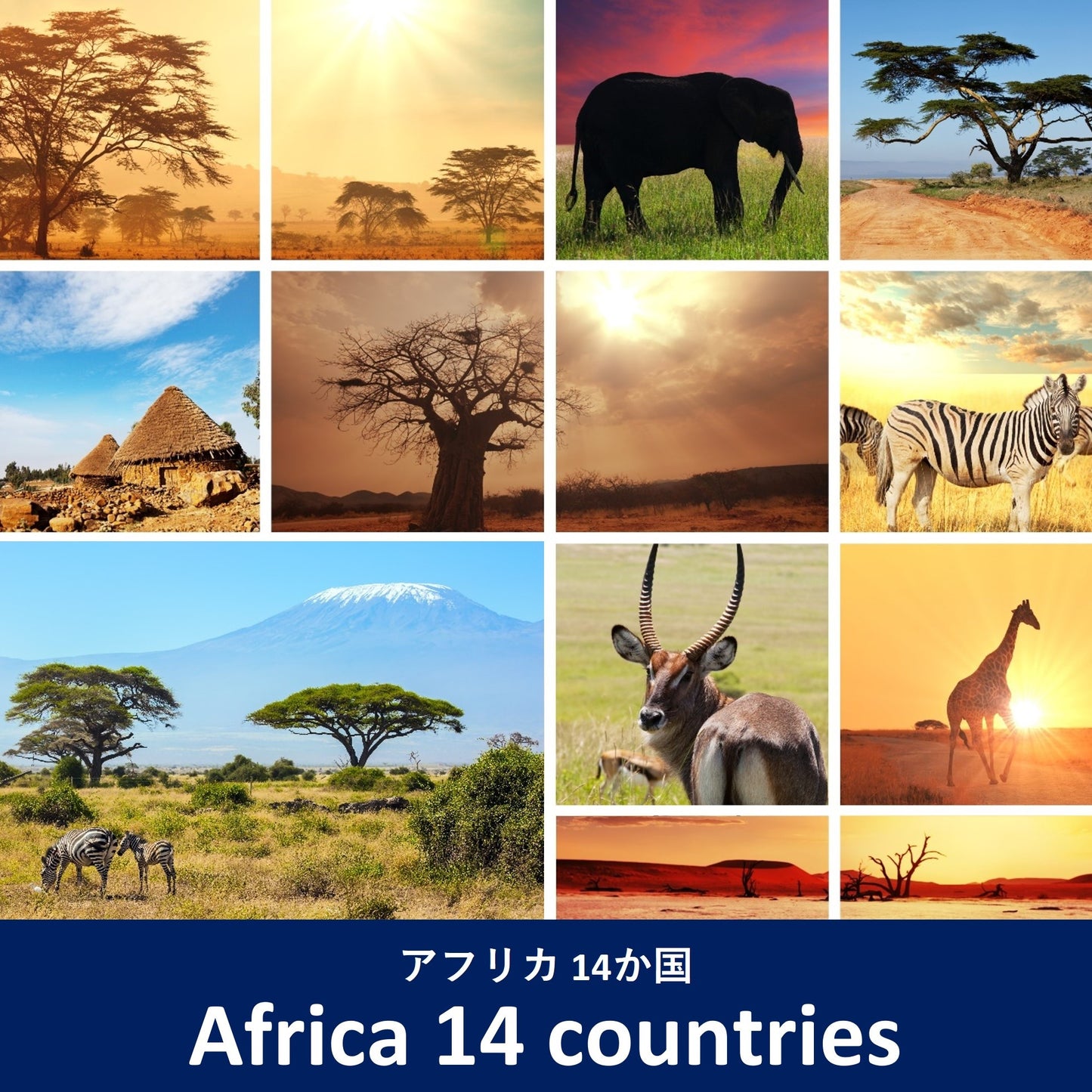 투어：아프리카 14개국