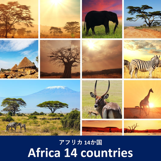 巡廻：非洲14個國家