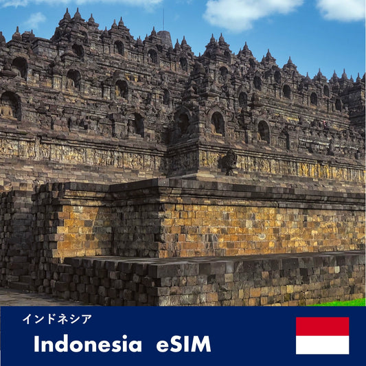 インドネシア-eSIM